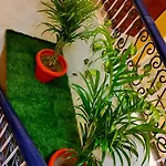 Sk Residency